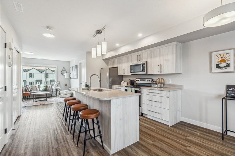 Modern Minimalist Kitchen
